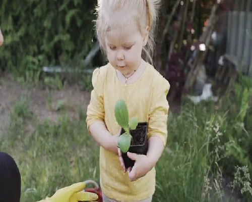 南京助孕代生,美国试管婴儿囊胚培育四大成功要素，您知道吗？-2026年陕西陪产