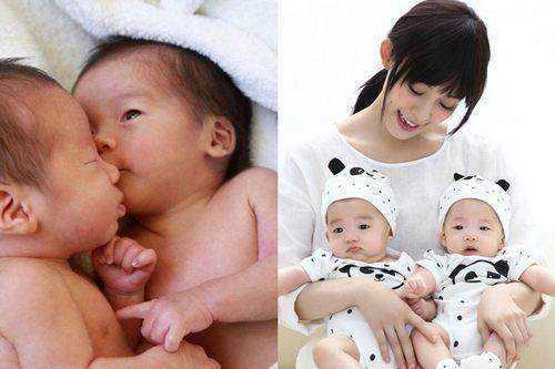 贵阳代孕的价位|石家庄供卵中心在哪里？买一个卵子大概多少钱？