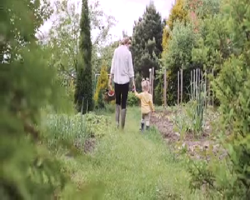 2026找女人代生子价格,昆华医院试管婴儿收费明细，2026
年做试管一次多少钱-早