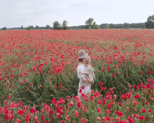 没有子宫如何实现怀孕生育,代怀包生女