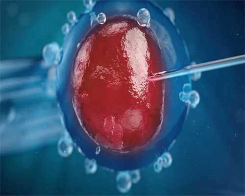 贵阳高龄供精供卵,贵阳妇幼保健院可以做试管婴儿吗