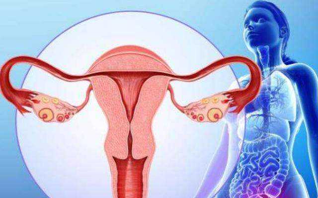 供卵自怀痛苦吗_三代试管供卵,北京供卵公司博诺（上海世纪供卵试管公司）