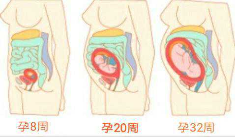 贵阳医院做代孕哪好|2026石家庄供卵试管医院排名前十火热公布！附卵子库价格