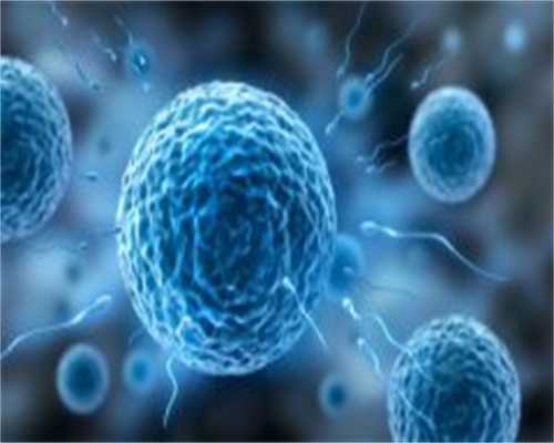 乌克兰供卵_供卵哪里可以提供,2026
天津公立医院供卵试管费用明细公开！附正