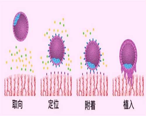 代生孩子哪里最好,北京供卵公司排行榜，附等18家私立机构名单、费用参考_保